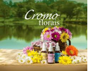 Imagem para o fabricante CROMO FLORAIS